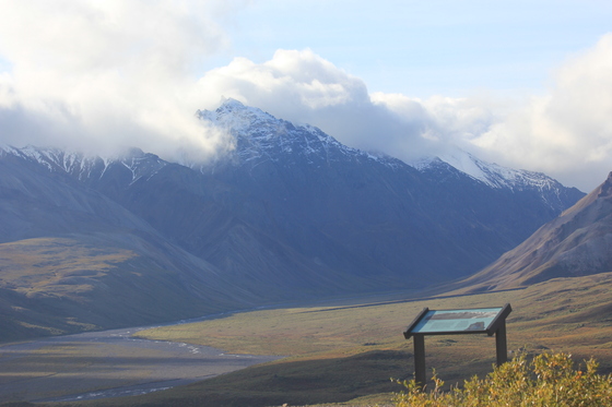 Denali National Park