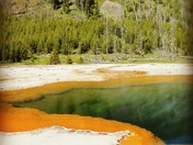 Yellowstone National Park
