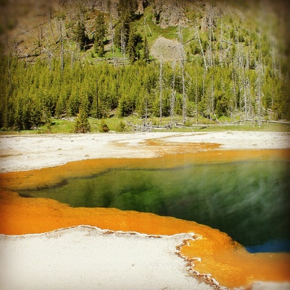 Yellowstone National Park