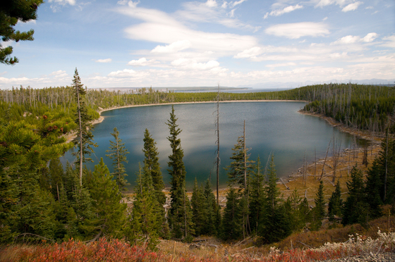 Yellowstone NP