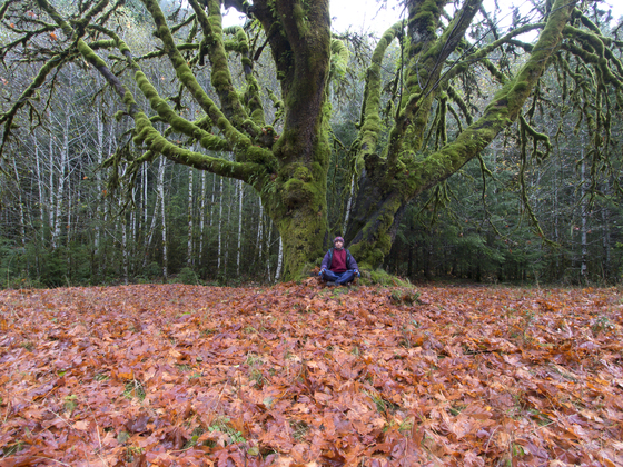 Olympic National Park 
