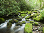 Great Smoky Mountain National Park