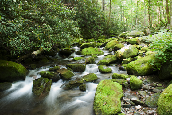 Great Smoky Mountain National Park