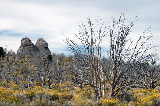 City of Rocks National Reserve