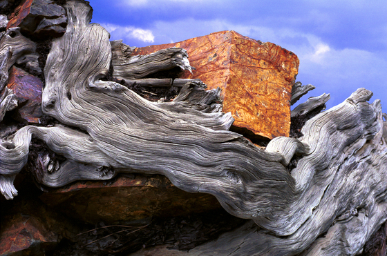 Eastern Sierra