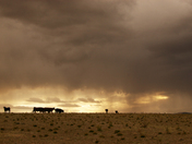 Chupadera Mountains, NM