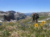 Weminuche Wilderness