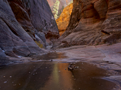 ZION NATIONAL PARK 