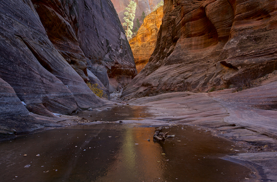 ZION NATIONAL PARK 