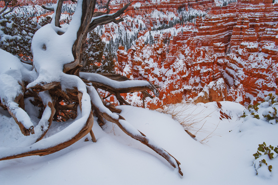 Bryce Canyon National Park