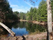 Wayne National Forest