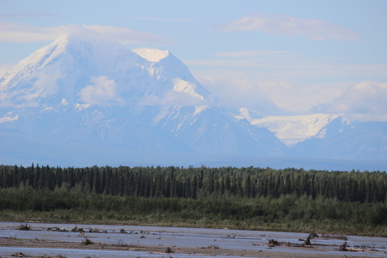 Denali National Park