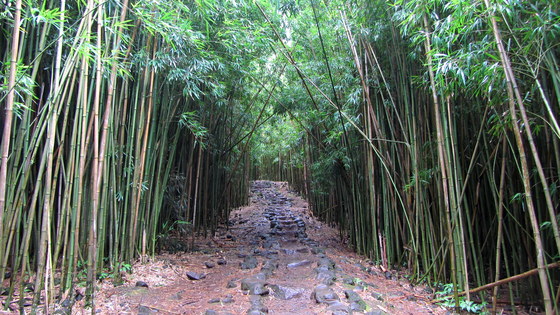 Haleakala National Park