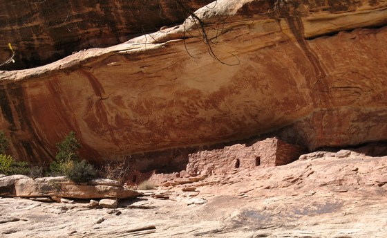 Natural Bridges, National Monument