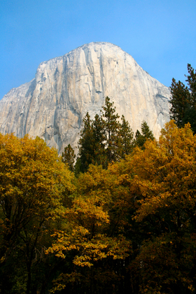 Yosemite National Park