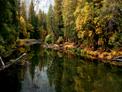 Yosemite National Park
