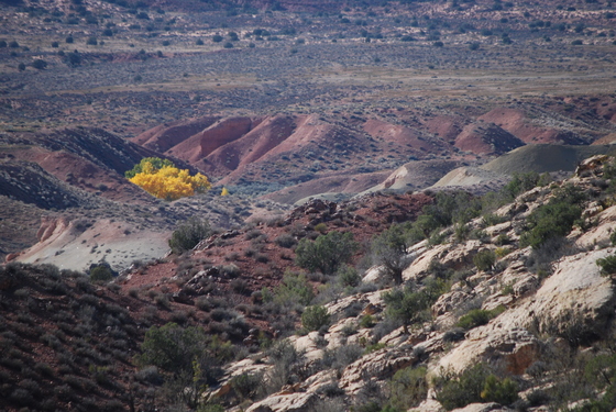 Arches National Park
