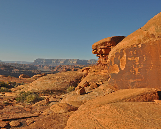 Kanab Creek Wilderness, Kaibab National Forest