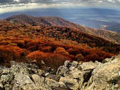 Shenandoah National Park