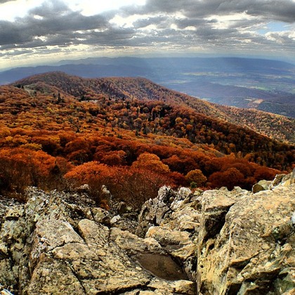 Shenandoah National Park