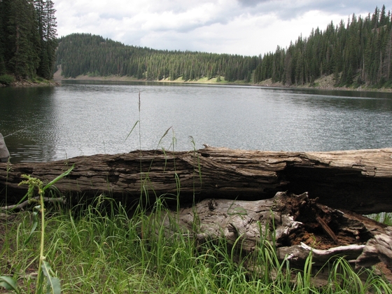 Grand Mesa NF