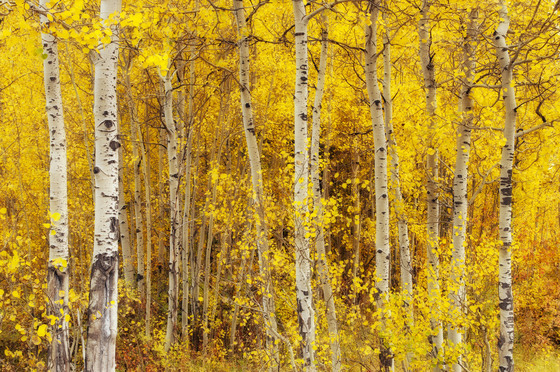 Grand Teton National Park