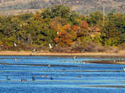 Wichita Mountains Wildlife Refuge
