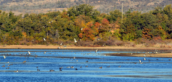 Wichita Mountains Wildlife Refuge