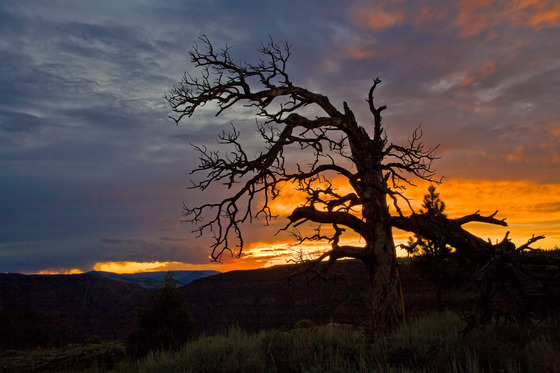 Flaming Gorge National Recreation Area