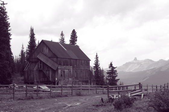 Uncompahgre National Forest