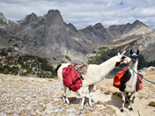 Bridger Teton National Forest