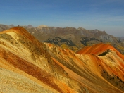 Uncompahgre National Forest