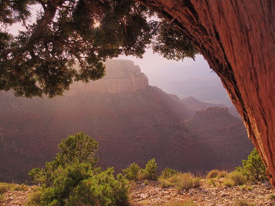 Grand Canyon