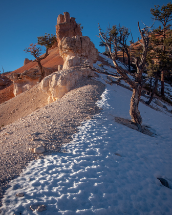 Bryce National Park
