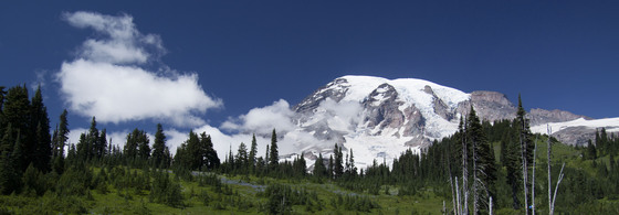 Mount Rainier Nat. Park