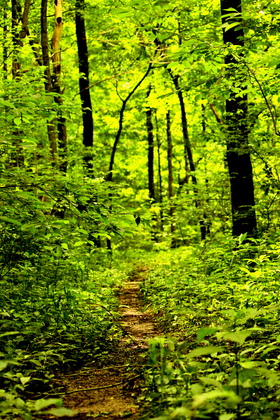 Mammoth caves National park