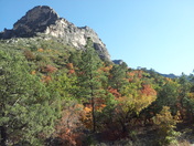 Guadalupe Mountains National park