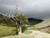 Road to Mt. Democrat Trailhead