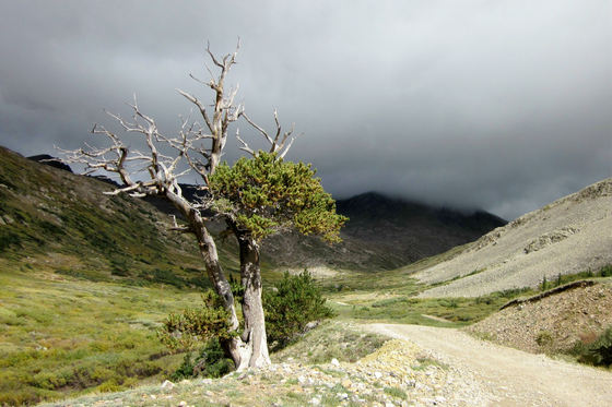 Road to Mt. Democrat Trailhead
