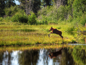 Grand Teton National Park