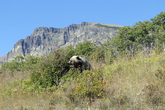 Glacier National Park