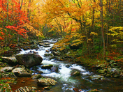 Great Smoky Mountains National Park
