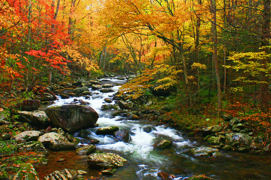 Great Smoky Mountains National Park