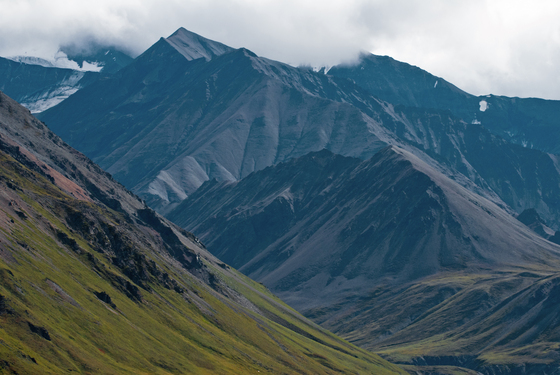 Denali National Park, AK.