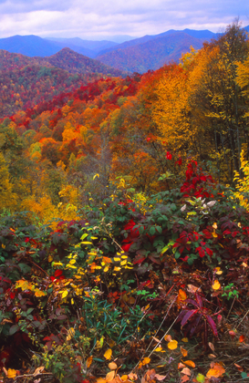 Great Smoky Mountains National Park