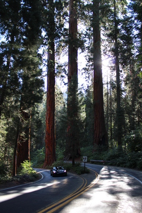 Sequoia National Park