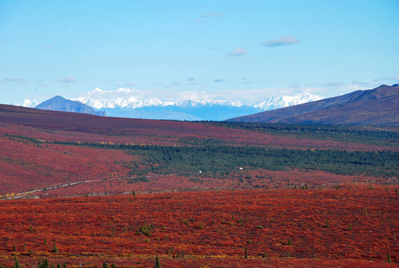 Denali, NP