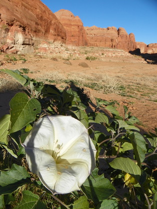 Glen Canyon National Recreation Area