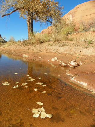 Glen Canyon National Recreation Area