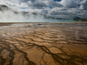Yellowstone NP